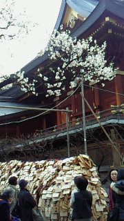 f:id:akaibara:20100127221418j:image
