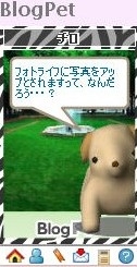 f:id:akaibara:20100128103648j:image