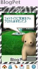 f:id:akaibara:20100128104607j:image