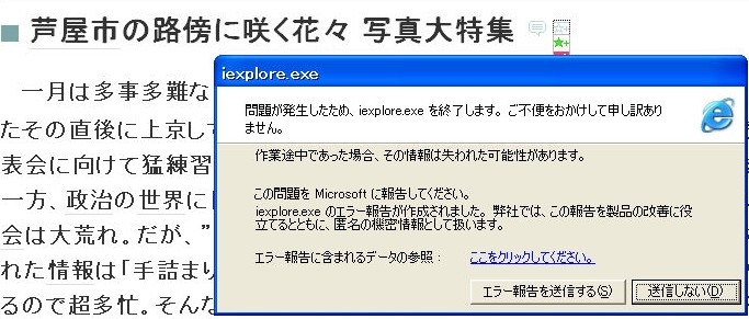 f:id:akaibara:20100131155859j:image:w500