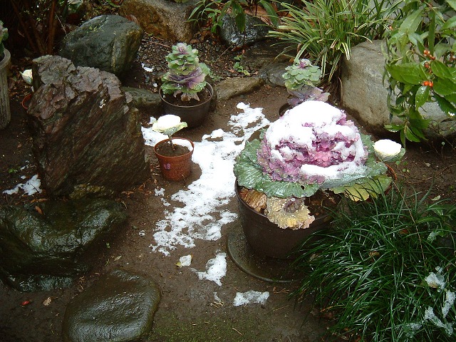 f:id:akaibara:20100202093852j:image:w550