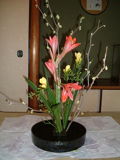 f:id:akaibara:20100205222012j:image
