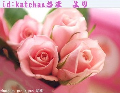 f:id:akaibara:20100214235236j:image