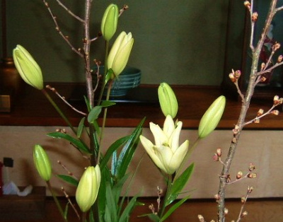 f:id:akaibara:20100218143335j:image f:id:akaibara:20100218143335j:image