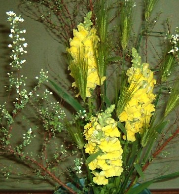 f:id:akaibara:20100218143840j:image f:id:akaibara:20100218143840j:image