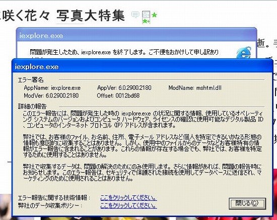 f:id:akaibara:20100219222358j:image f:id:akaibara:20100219222358j:image