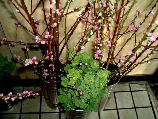 f:id:akaibara:20100225213238j:image:w400