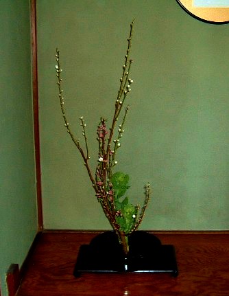 f:id:akaibara:20100225213440j:image:w200