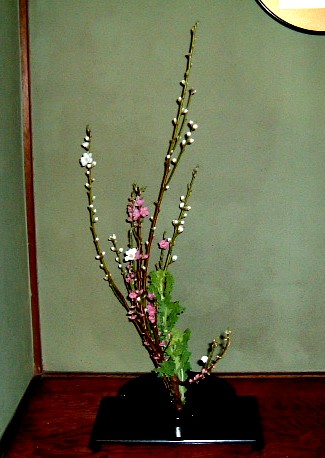 f:id:akaibara:20100227085957j:image