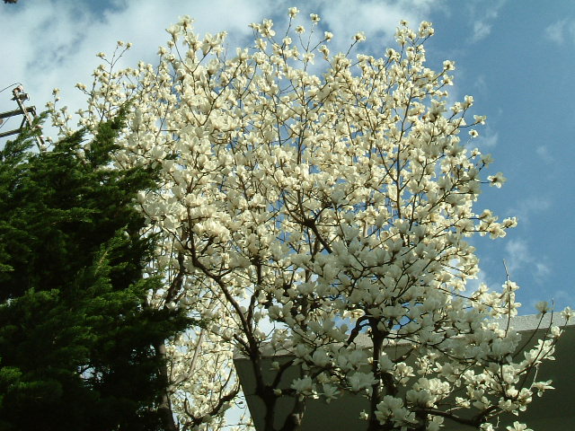 f:id:akaibara:20100317091543j:image:w550
