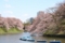 千鳥が淵
