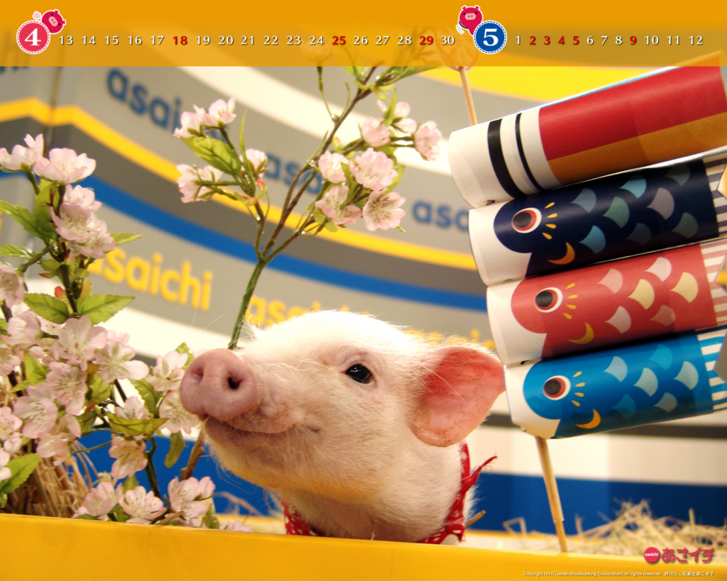 f:id:akaibara:20100413220626j:image:w250