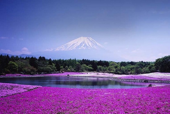 f:id:akaibara:20100428181541j:image