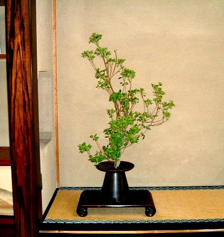 f:id:akaibara:20100515151350j:image
