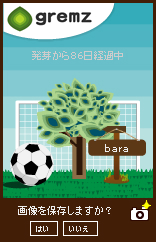 f:id:akaibara:20100612155914j:image