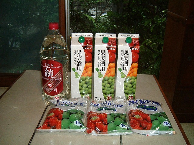 f:id:akaibara:20100614185938j:image:w450