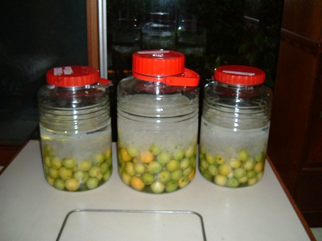 f:id:akaibara:20100614190213j:image:w450