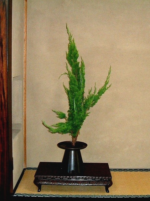 f:id:akaibara:20100718000318j:image:w150