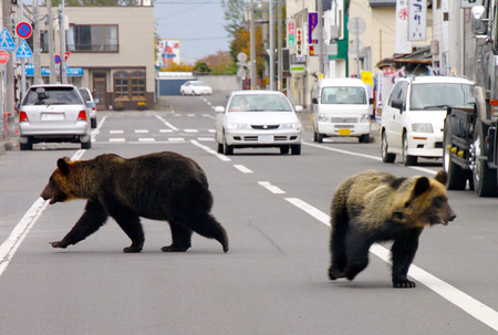 f:id:akaibara:20101018231935j:image