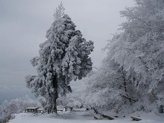 f:id:akaibara:20101117104446j:image