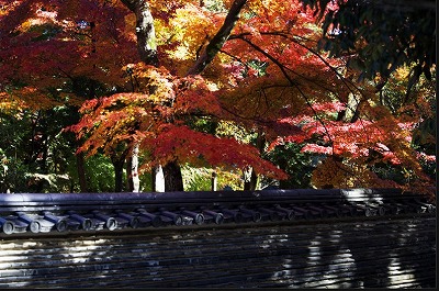 f:id:akaibara:20101122000619j:image