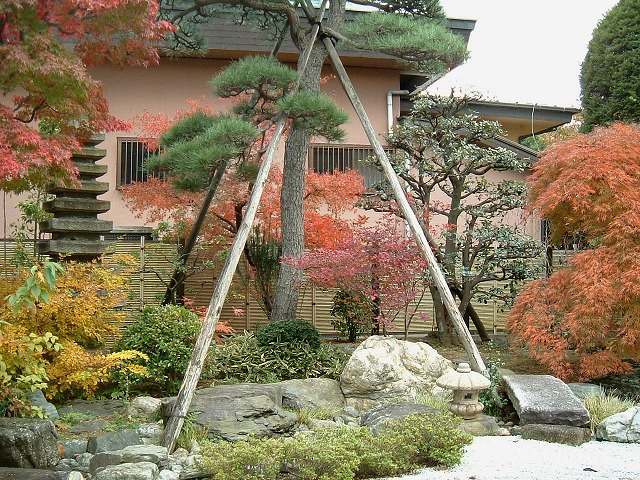 f:id:akaibara:20101122000702j:image:w450