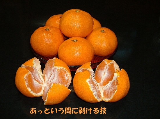 f:id:akaibara:20101221100723j:image:w400