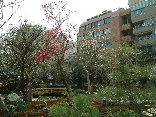 f:id:akaibara:20110202232716j:image:w250 f:id:akaibara:20110202232716j:image:w250