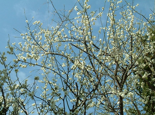 f:id:akaibara:20110210220742j:image:w550