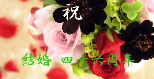 f:id:akaibara:20110312125345j:image