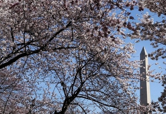 f:id:akaibara:20110329222218j:image:w450