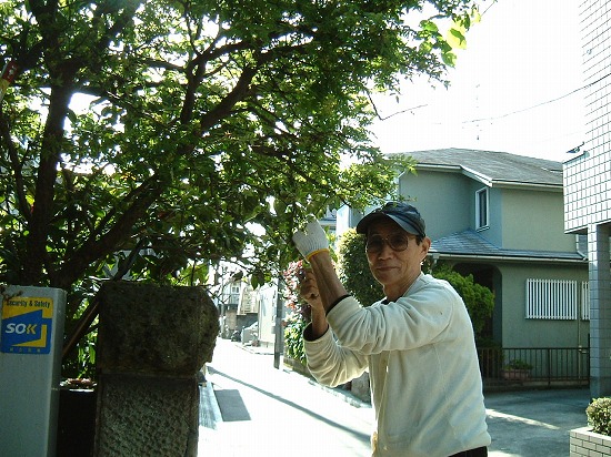 f:id:akaibara:20110425155157j:image:w360
