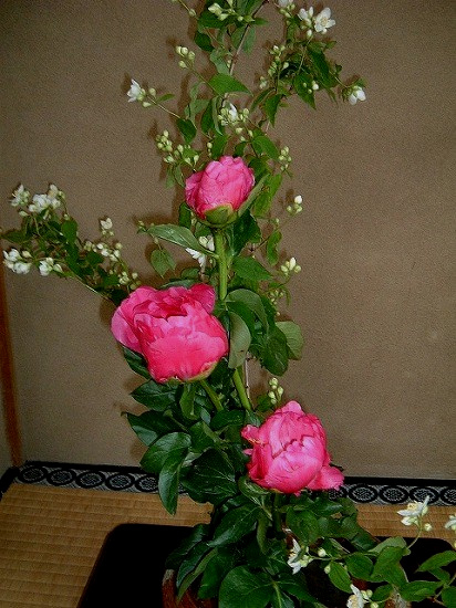 f:id:akaibara:20110513220610j:image:w300