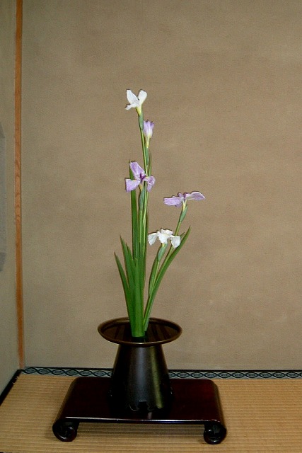 f:id:akaibara:20110520223215j:image:w300