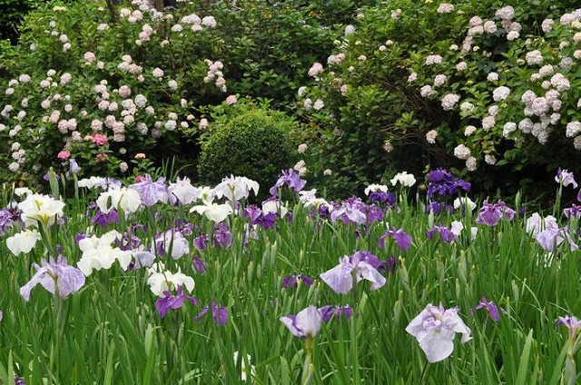 f:id:akaibara:20110620233743j:image:w550
