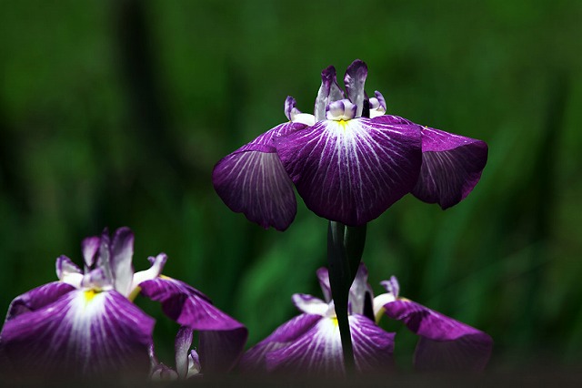 f:id:akaibara:20110620233745j:image:w280 f:id:akaibara:20110620233745j:image:w280