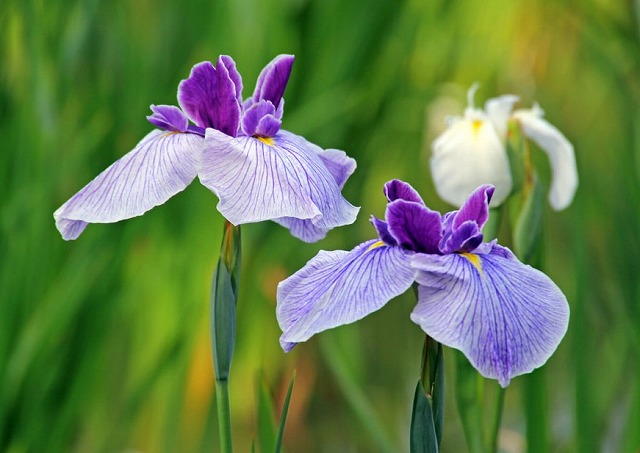 f:id:akaibara:20110620233747j:image:w280 f:id:akaibara:20110620233747j:image:w280
