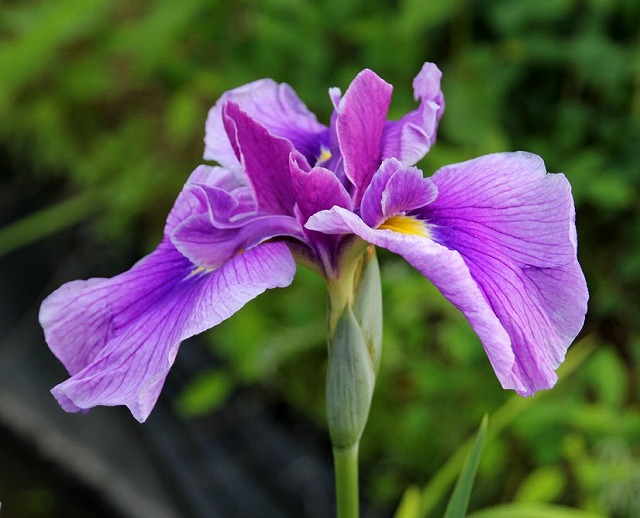 f:id:akaibara:20110620233750j:image:w250 f:id:akaibara:20110620233750j:image:w250