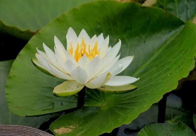 f:id:akaibara:20110620233832j:image:w280 f:id:akaibara:20110620233832j:image:w280