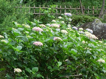 f:id:akaibara:20110621112120j:image:w250