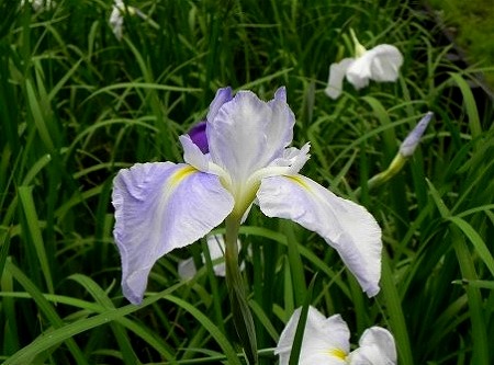 f:id:akaibara:20110621112123j:image:w250