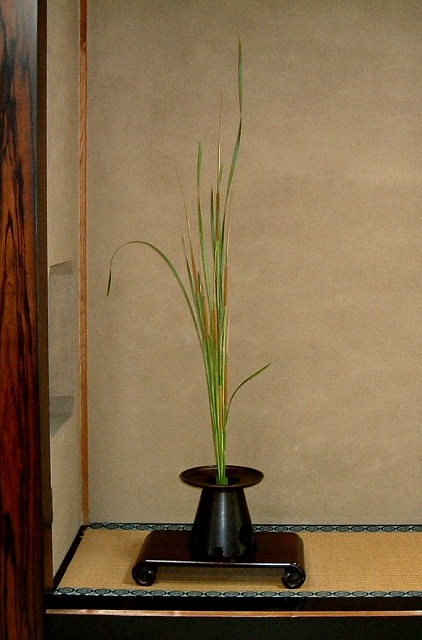 f:id:akaibara:20110708231900j:image:w250