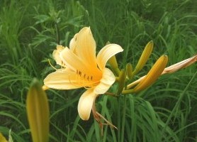 f:id:akaibara:20110714185207j:image