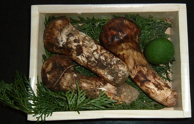 f:id:akaibara:20110725233812j:image:w450