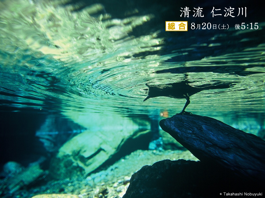 f:id:akaibara:20110731194648j:image:w250