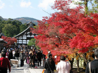 f:id:akaibara:20111101225338j:image