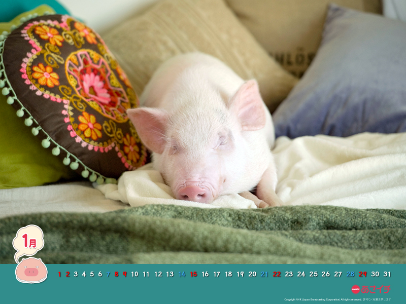 f:id:akaibara:20120110164503j:image:w150