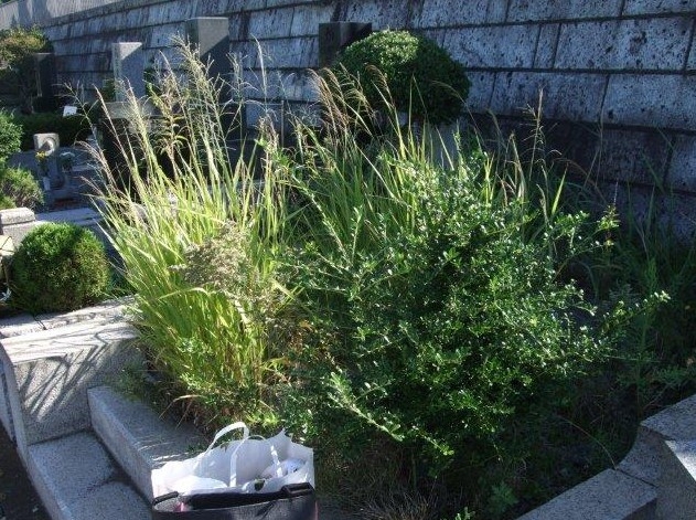 f:id:akaibara:20120305174830j:image:w250