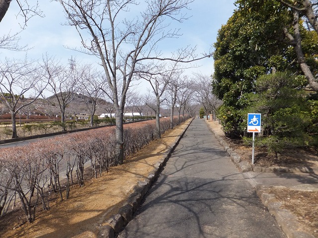 f:id:akaibara:20120316231219j:image:w270