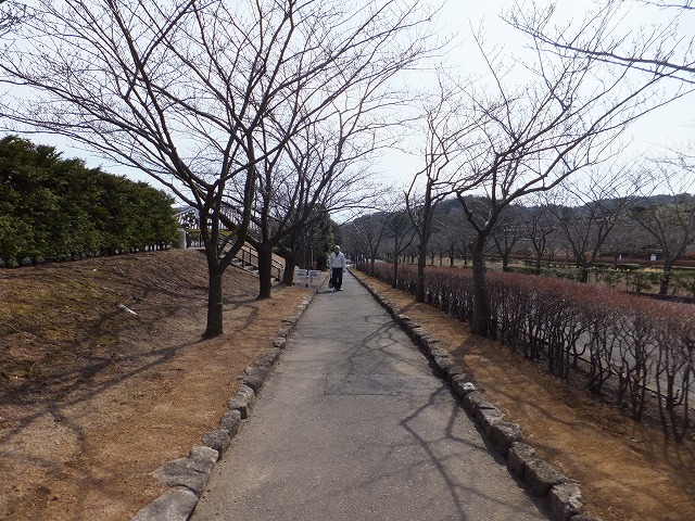 f:id:akaibara:20120316231356j:image:w270 f:id:akaibara:20120316231356j:image:w270